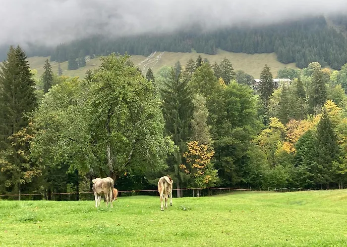 Alpenrose Komfortable Ferienresidenz Oberstdorf